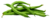  © 