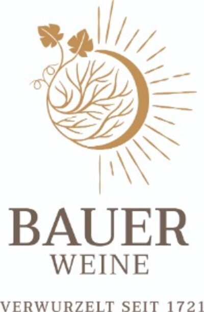 Weingut Norbert Bauer