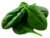  © 
