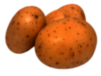 Erdaepfel