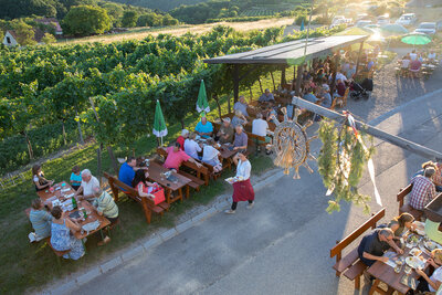 Heuriger Waldschütz in Obernholz - Kamptal