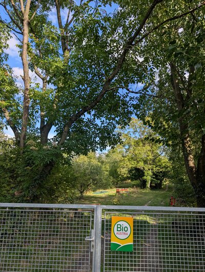 Loamg´stättn Streuobst