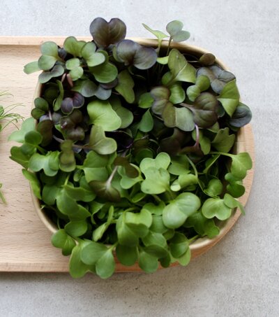 Scharfer Mix geschnitten