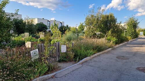 Foto der Gemeinschaftsgärten - © Marktgemeinde Königstetten