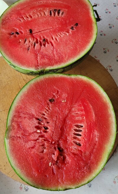 Wassermelone
