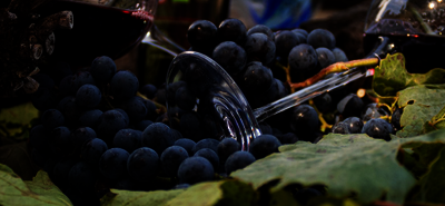 Bio Rotwein - Cabernet Sauvignon