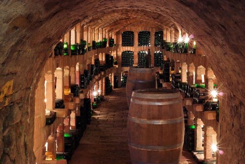 Bio Weingut Josef Salomon_Bio Weingut Josef Salomon
