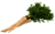  © 