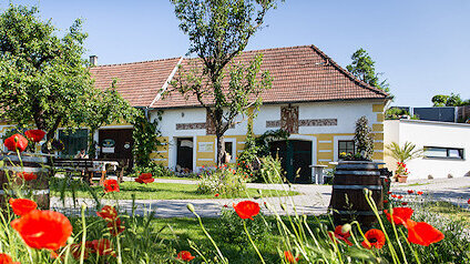 Hofansicht mit Bäumen und Mohnblumen