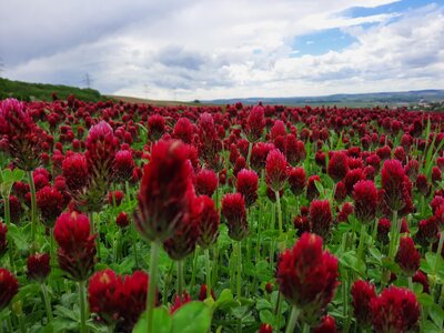Etis Farm, Biohof Etmaier
