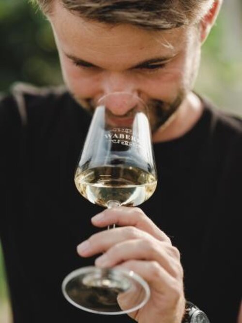 Weingut Waberer_Waberer, Reidinger