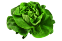 Salat