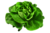  © 