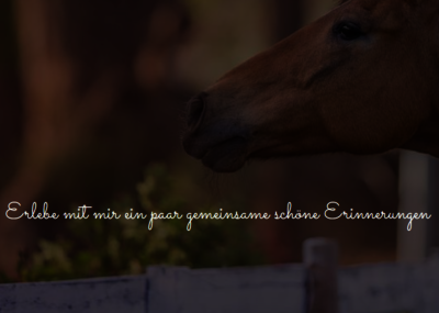 Seminare und Unterricht