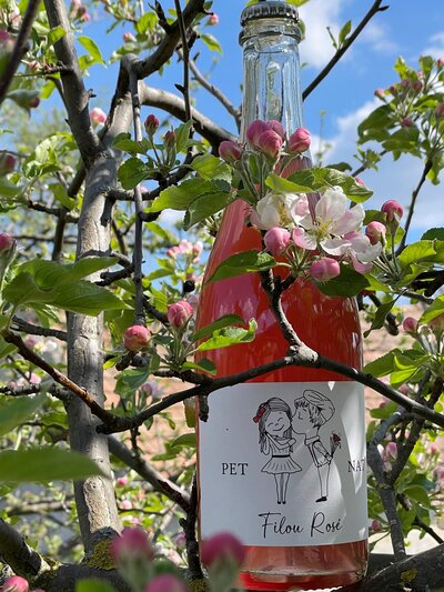 Pet Nat Filou Rosé