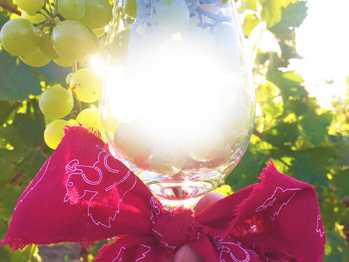 Weingut Reitmayer_Weingut Reitmayer Weingut Reitmayer_Weingut Reitmayer