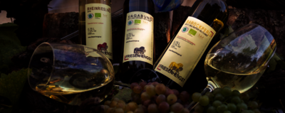 Unsere Bio Weine - ein Überblick