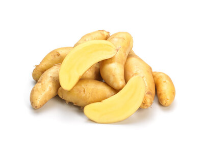 Dänische Spargelkartoffel (Erdäpfelrarität)