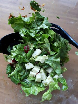 Grüner Salat