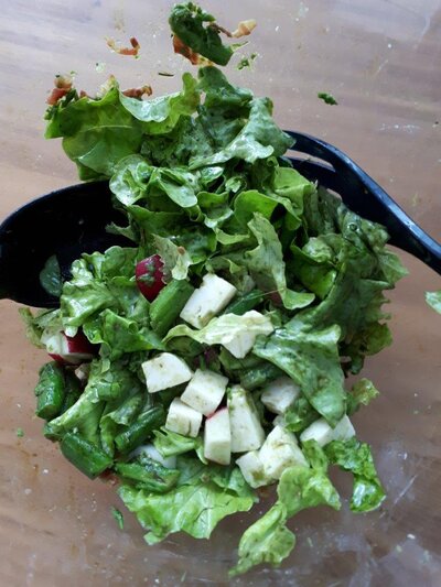 Grüner Salat mit Ziegenkäse, Spargel, Speck, Walnussöl