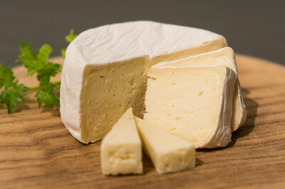 Flachlandkäse bio nach Art Camembert