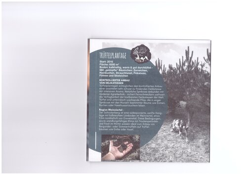 Beschreibung meiner Plantage