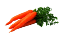 Karotten
