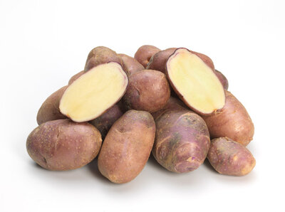 Mrs. Purple Baker (Erdäpfelrarität)