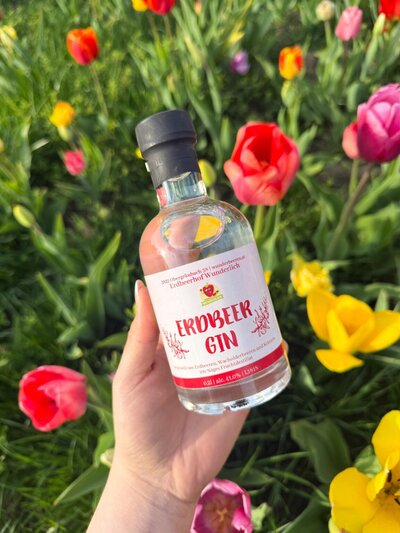Erdbeer-Gin