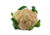  © 