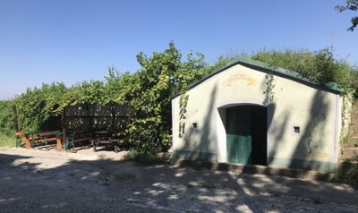 Weinbau Wagner