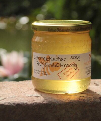 Frühjahrs Blütenhonig 250g/500g