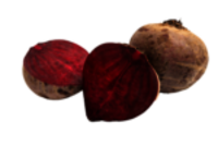 RoteRuebe