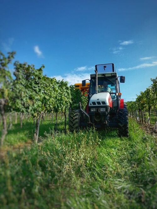 Weingut Ullmer