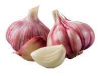 Knoblauch