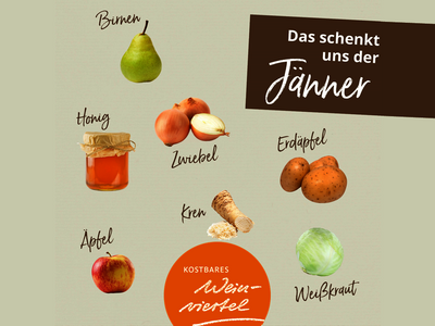 Jaenner_LEADER_Region_Weinviertel_Ost.png