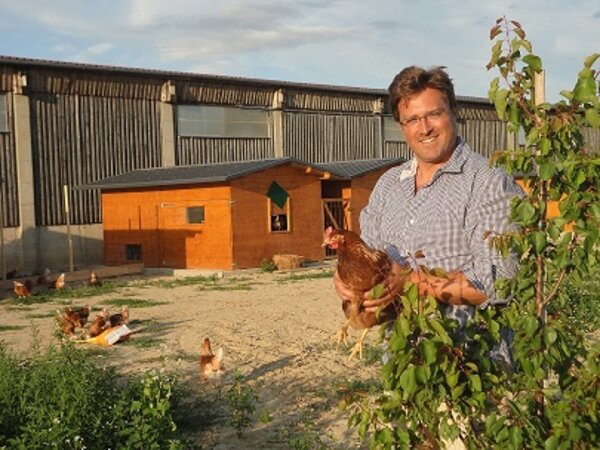 Freilandhühner im Marillengarten_Wolfgang Hackl © Freilandhühner im Marillengarten_Wolfgang Hackl