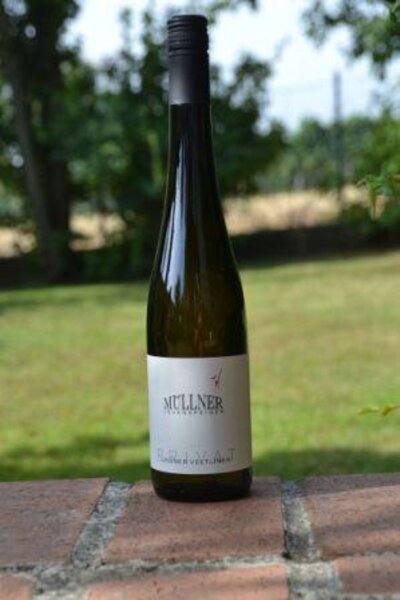Grüner Veltliner, Privat, Müllner, Jedenspeigen