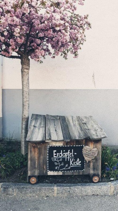 ERDÄPFELkiste vor unserem Haus, Foto: Fam. Riedl ERDÄPFELkiste vor unserem Haus, Foto: Fam. Riedl
