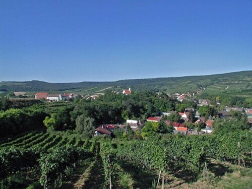 Weingut Brunthaler