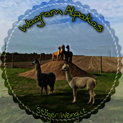 Wagram Alpakas