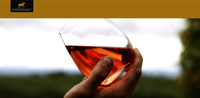 Bio Weingut Friesenhengst