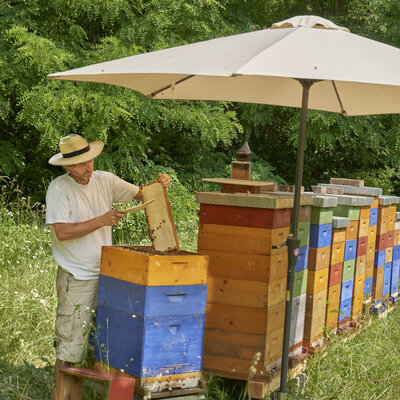 APIS-Z / Demeter Bio-Imkerei