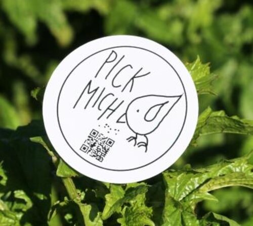 Pickmich_ConnySchuetz