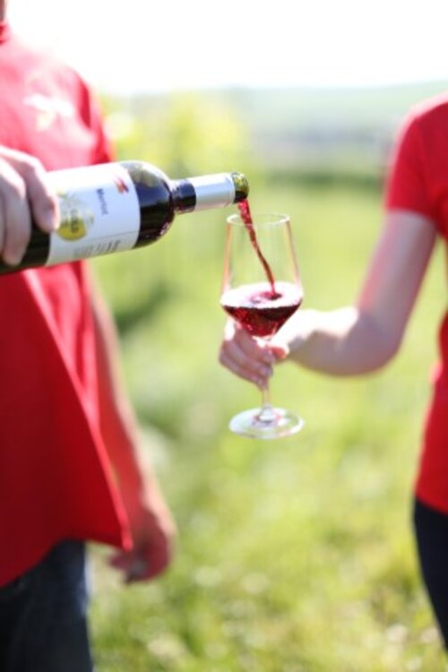 ScheinerWein Rotwein ScheinerWein Rotwein