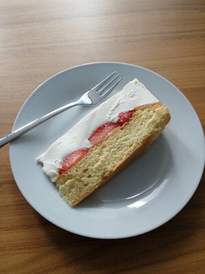 Erdbeer Joghurttorte_Christina Gottwald