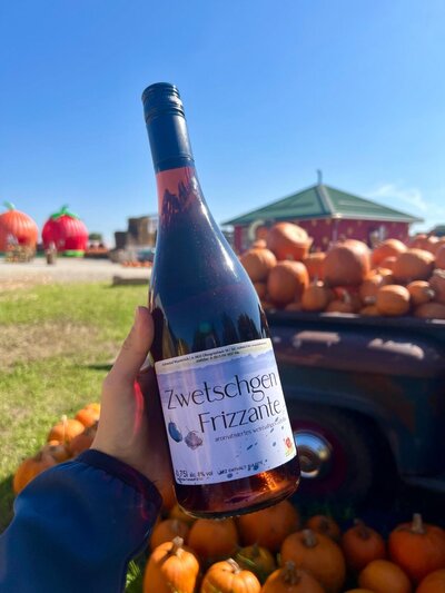 Zwetschgen Frizzante 0,75l