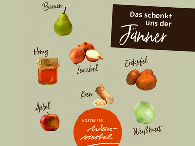 Jaenner_LEADER_Region_Weinviertel_Ost.png