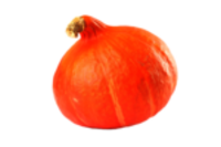 Kuerbis