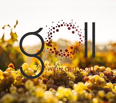 Weingut & Buschenschank Goll